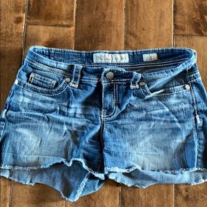 BKE Payton Shorts 30